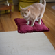 Image for article titled Shooting Challenge: Levitation, Gallery 1